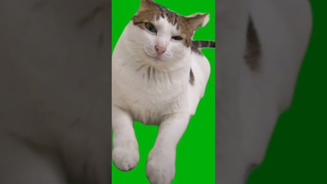 Футажи для монтажа§