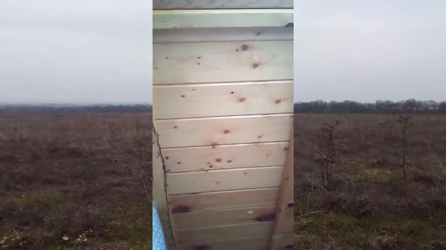 Нужно ли бегать по утрам?