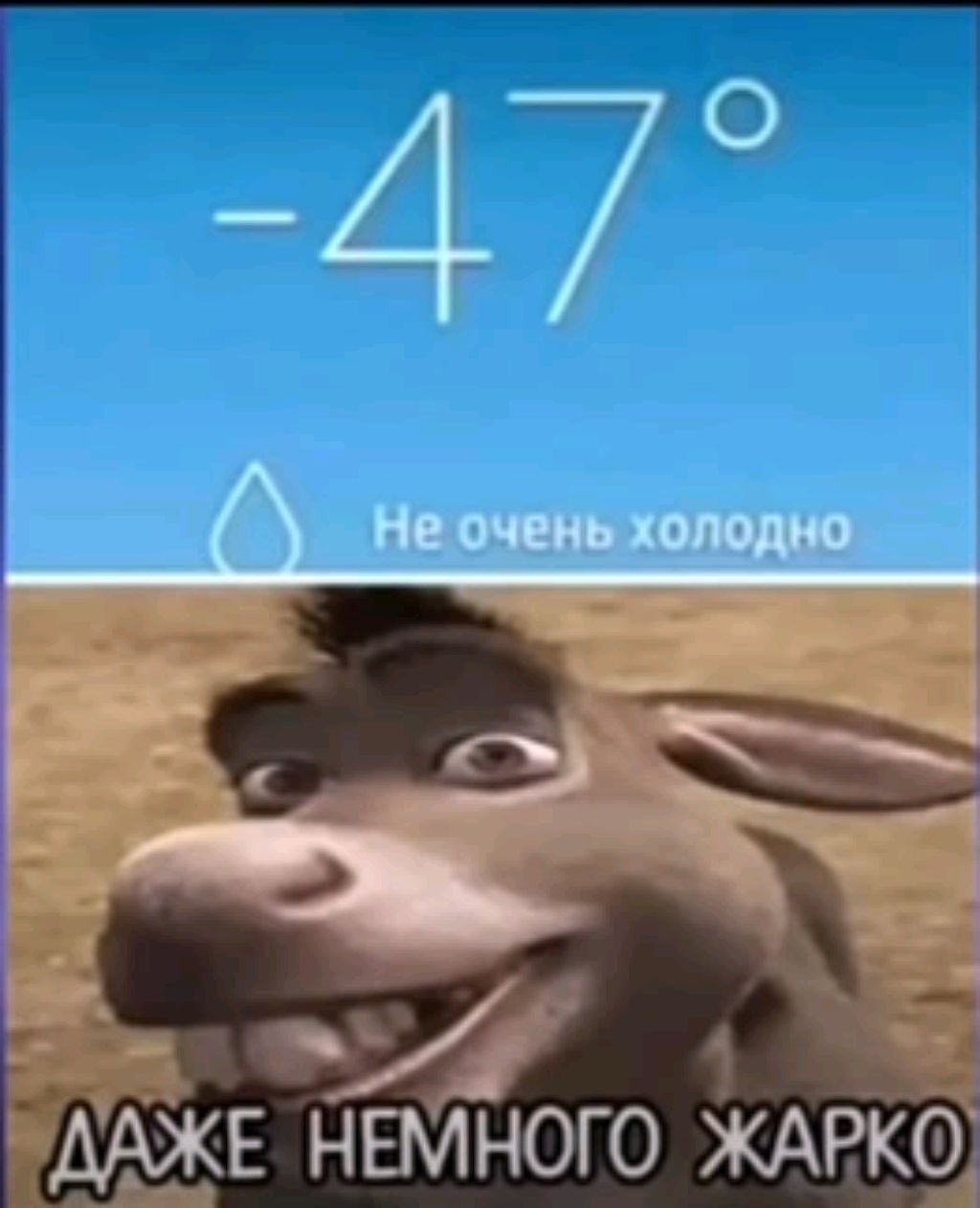 заходи поговорим и поиграем