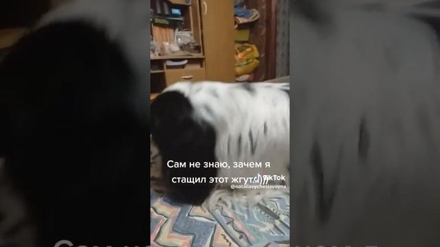 Жгут - не веревка...)))