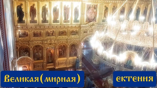 Фрагмент из литургии на празднование Казанской иконы Божией Матери 4.11.24