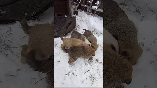 VID-20241220-WA0001