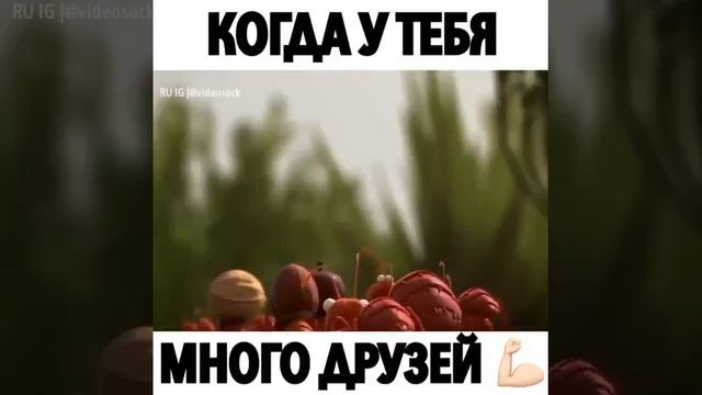Когда у тебя много друзей