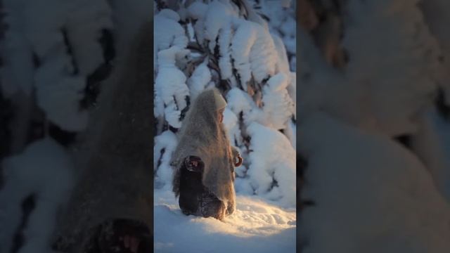 Зима. Лес. Пупс.