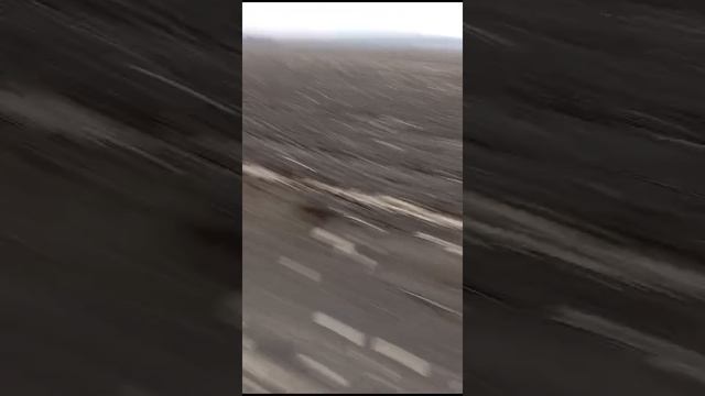 Покатушки по полю