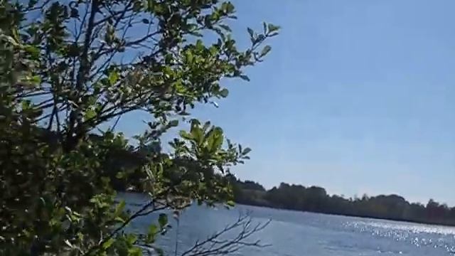 Озеро вдоль границы участка. // переезд в деревню