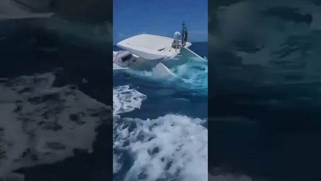 1000026394.mp4
