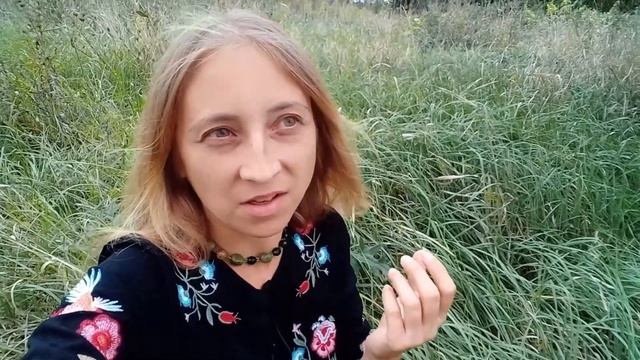 Режим дня на сыроедении, сентябрь 2021