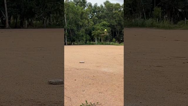 5 сентября 2023 г.