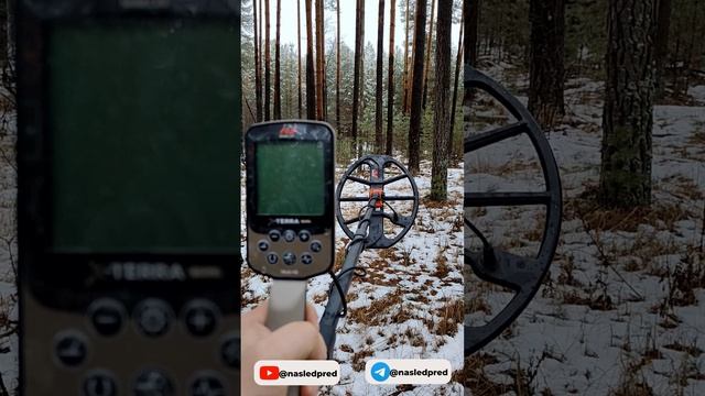 Тест на полигоне - Minelab X-TERRA ELITE с катушкой Equinox 15 дюймов