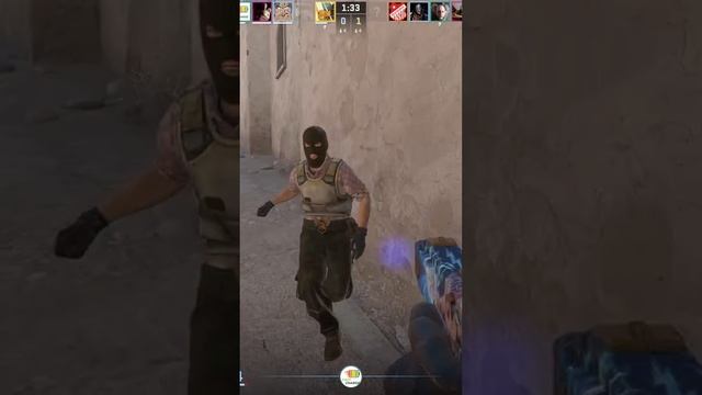 Zeus24122301