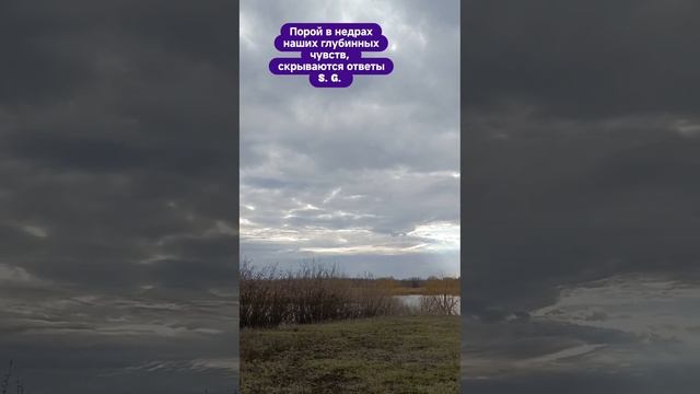 Порой