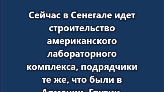 США считают Африку  полигоном для испытаний экспериментальных препаратов