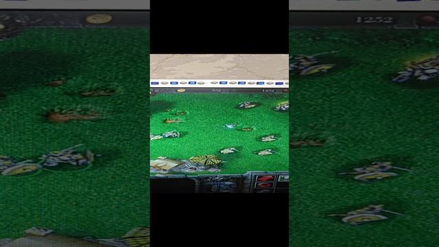 VID_20241224_162811.mp4