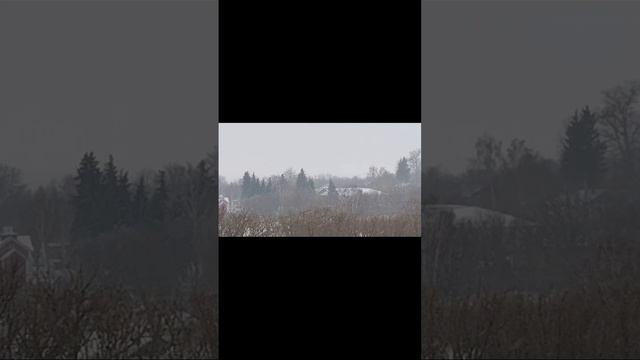 Лебяжье