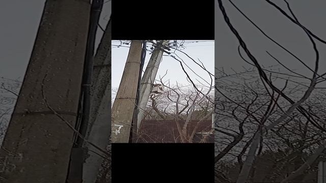 1000010822.mp4