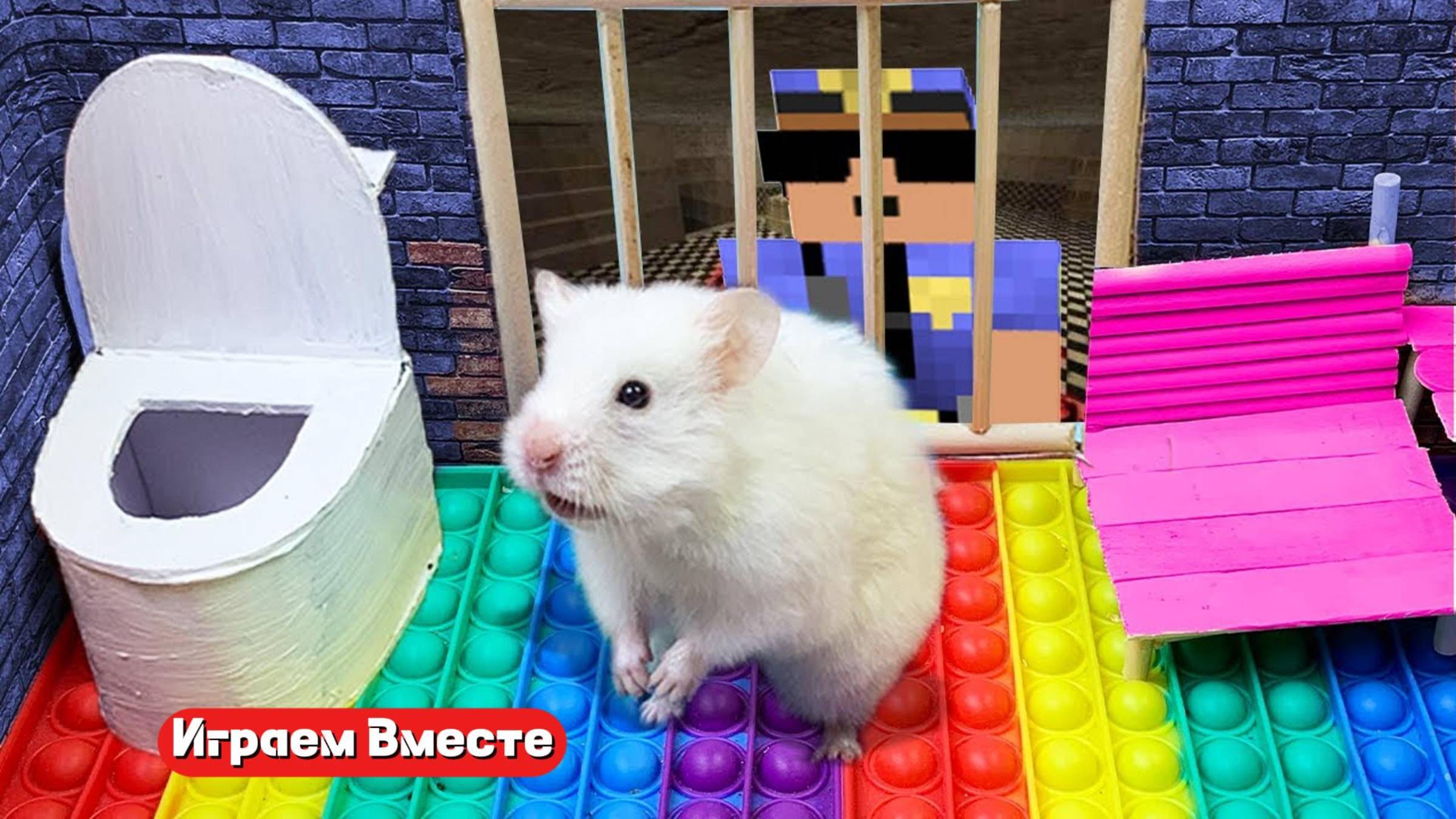 Хомяк выбирается из сложного лабиринта для умных животных 🐹🐹🐹 Трансляция для детей