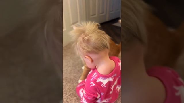 1000026333.mp4