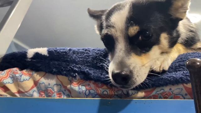 «Выше неба». В гостях у «Детей улиц»/Острогожск