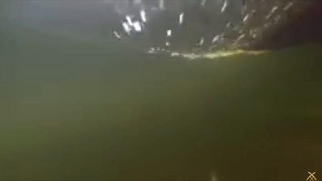 SVID_20241214_171843_1.mp4