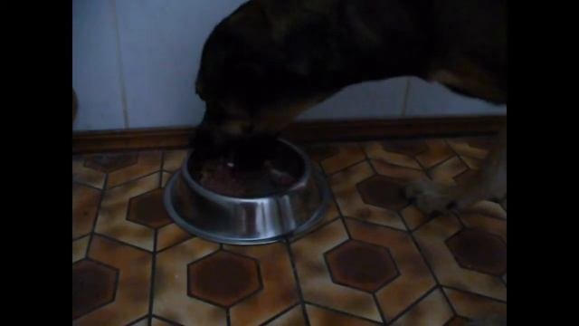 Test Dolina Noteci