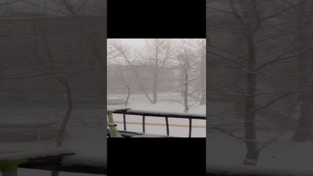 Снег снежок