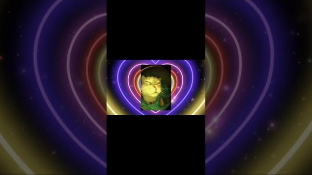 scene_output.mp4