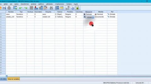 Registro de variables y recolección de datos en SPSS v. 25