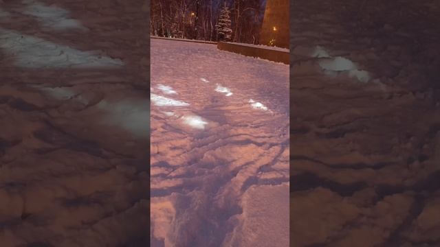22.12.2024 год, вечер. Южно-Сахалинск