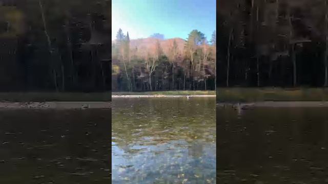 горная речка