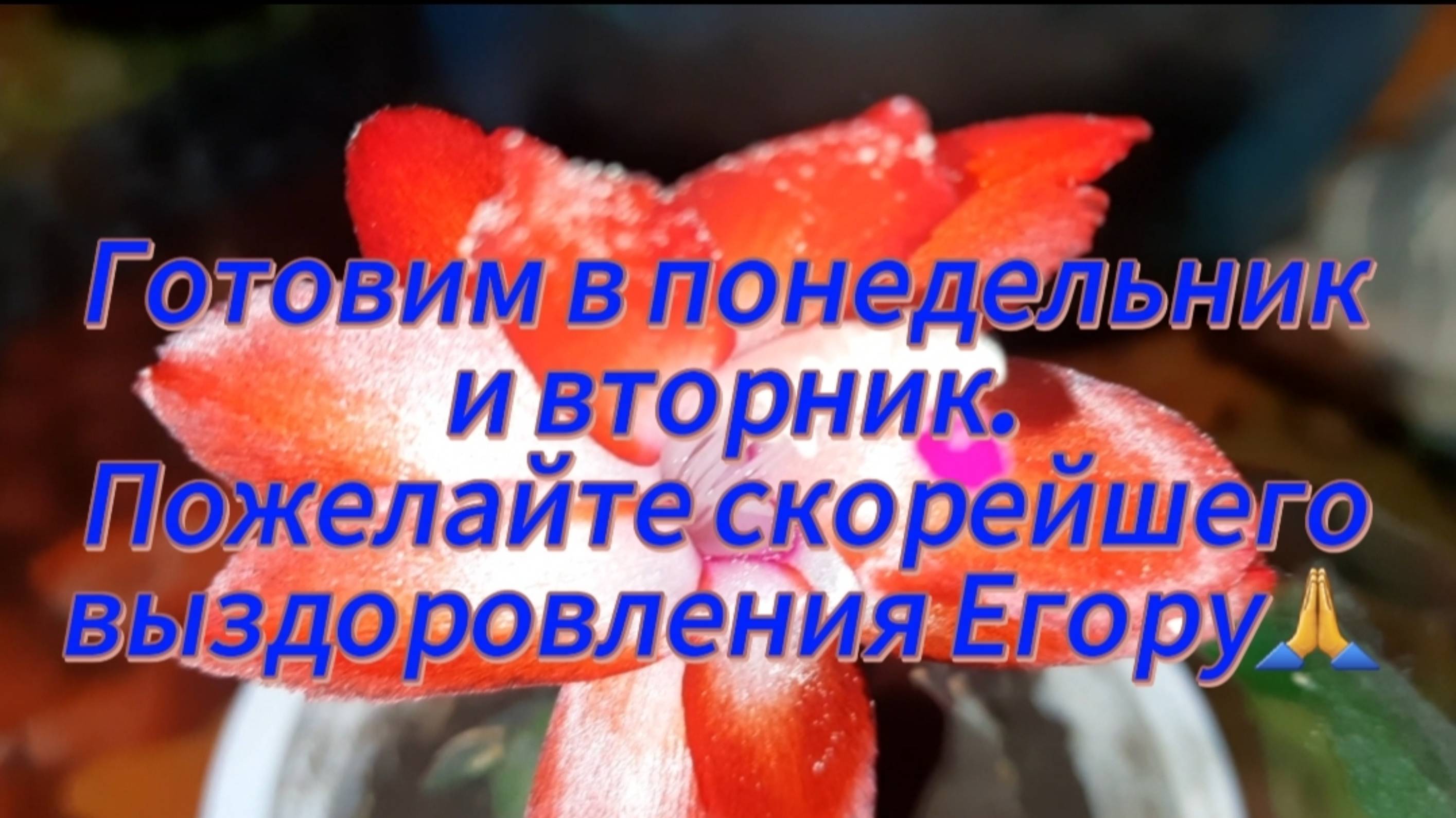 Готовим в понедельник и вторник. Пожелайте скорейшего выздоровления Егору🙏