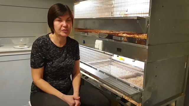 Зерносмесь или комбикорм для выращивания бройлеров?