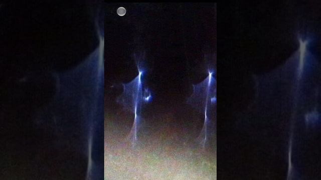 Этот фотограф запечатлел несколько мелких насекомых в лесу, ночью, они напоминают фей