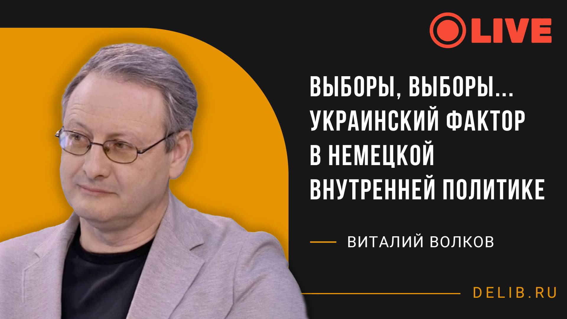 Встреча с Виталием Волковым | Выборы, выборы... Украинский фактор в немецкой внутренней политике