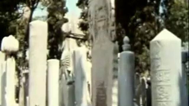 1000205778.mp4