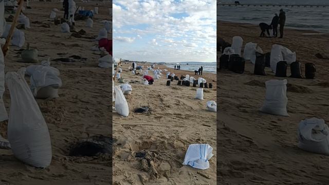 24 декабря обстановка на пляже в Витязево.После очередного шторма выбросило много мазута.
