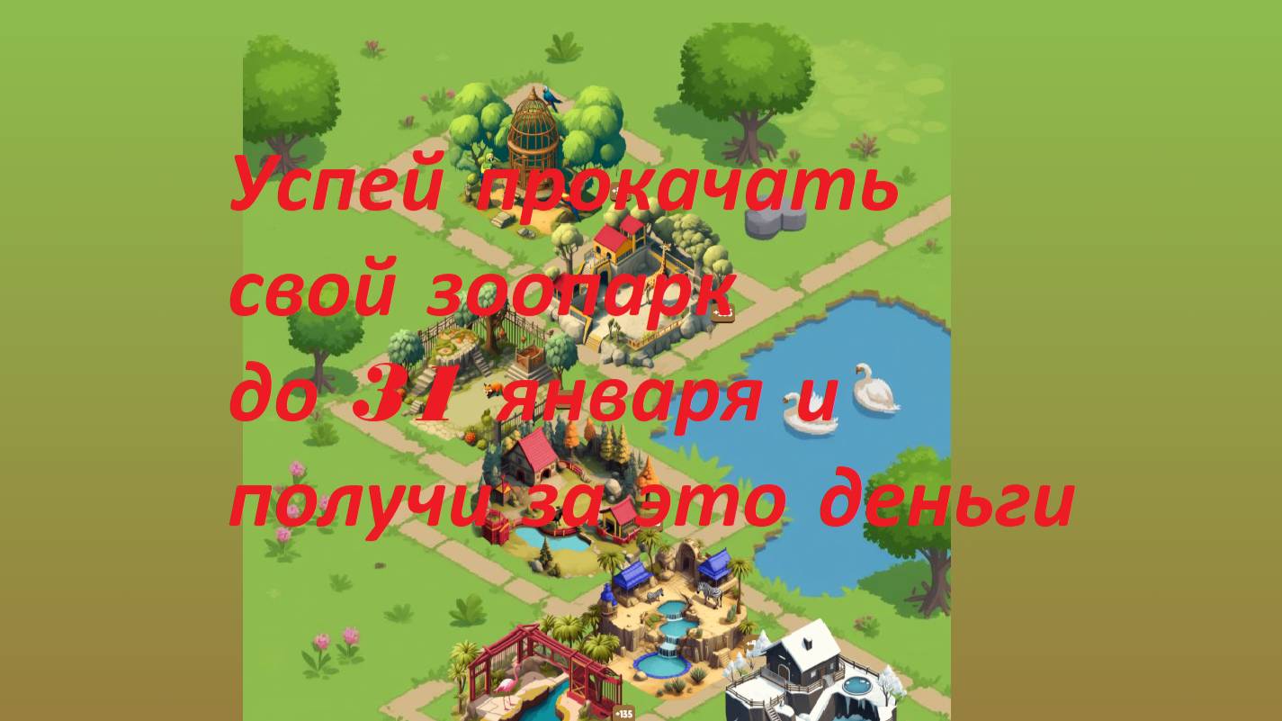 Обзор игры ZOO. Аирдроп за активность,заработок без вложений