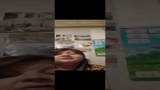 госпожа метели ца