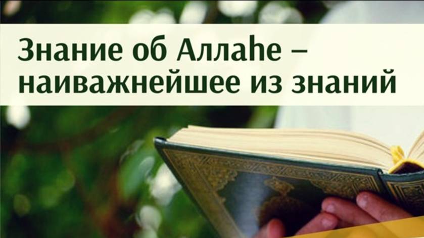 8. Не говорите об Аллаhе без знания