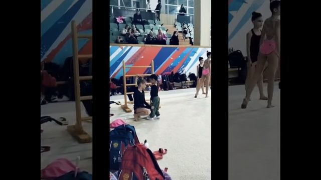 Художественная гимнастика