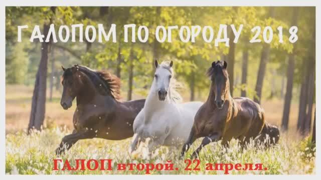 ГАЛОПОМ по ОГОРОДУ 2018_.ГАЛОП второй. 22 апреля 2018 года.
