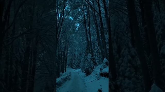 Зимнее настроение #16