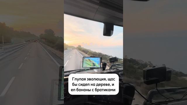 Глупая эволюция, щас бы сидел на дереве и ел бананы с братиками #truck #дальнобой #дальнобойщики