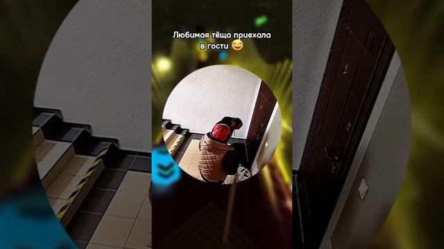 1000004521.mp4