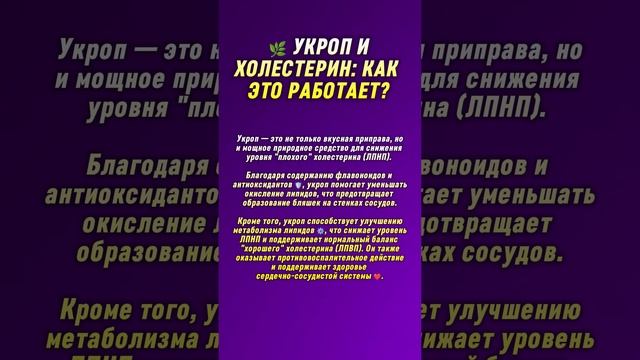 🌿 Укроп и холестерин: как это работает?