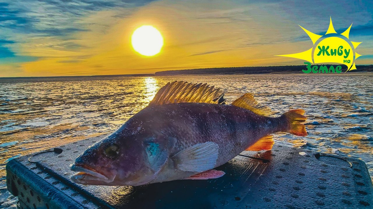 1 Лёд на Водохранилище. Как На Другой Планете. Впечатляющее Зрелище