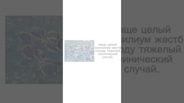 хирург