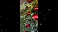 До Нового года осталась неделя 🎄✨