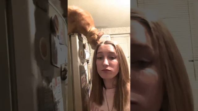 Рыжий Кысс и Маха