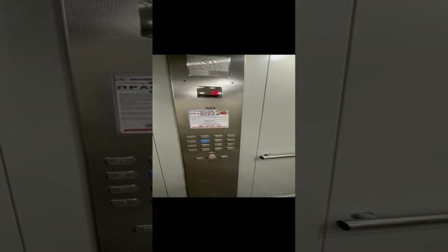 VID-20241224-WA0050.mp4